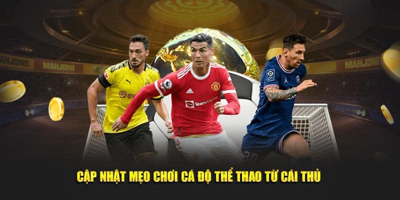 Cập nhật mẹo chơi cá độ thể thao từ cao thủ 