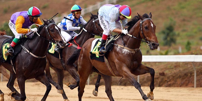 Chiến thuật cá cược giúp người chơi thắng trong đua ngựa ảo