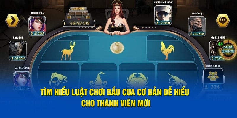 Tìm hiểu luật chơi bầu cua cơ bản dễ hiểu cho thành viên mới